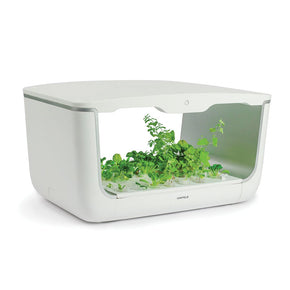 Hộp trồng cây EasyGrow Home Box (H-box)