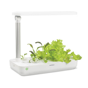 Hộp trồng cây EasyGrow Table Box (T-Box)